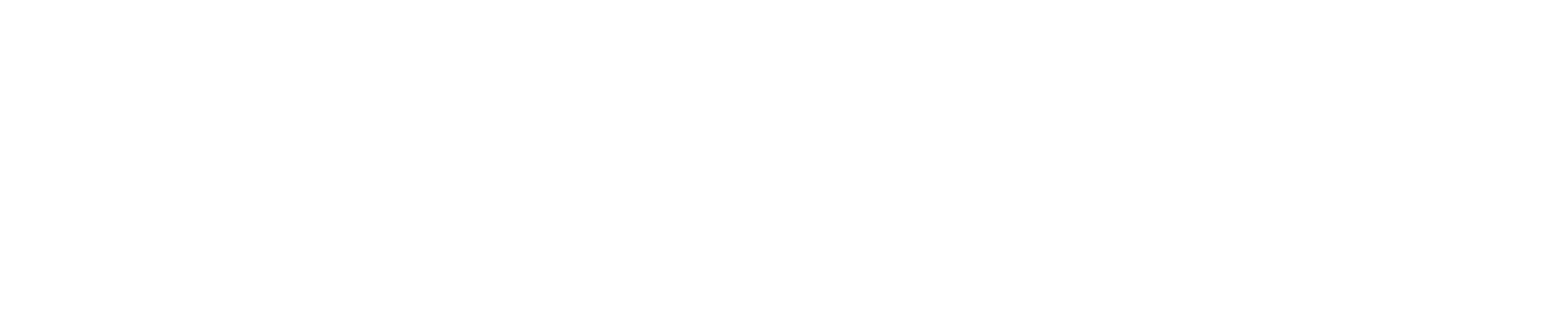 Vercel Partner – Experto en Next.js